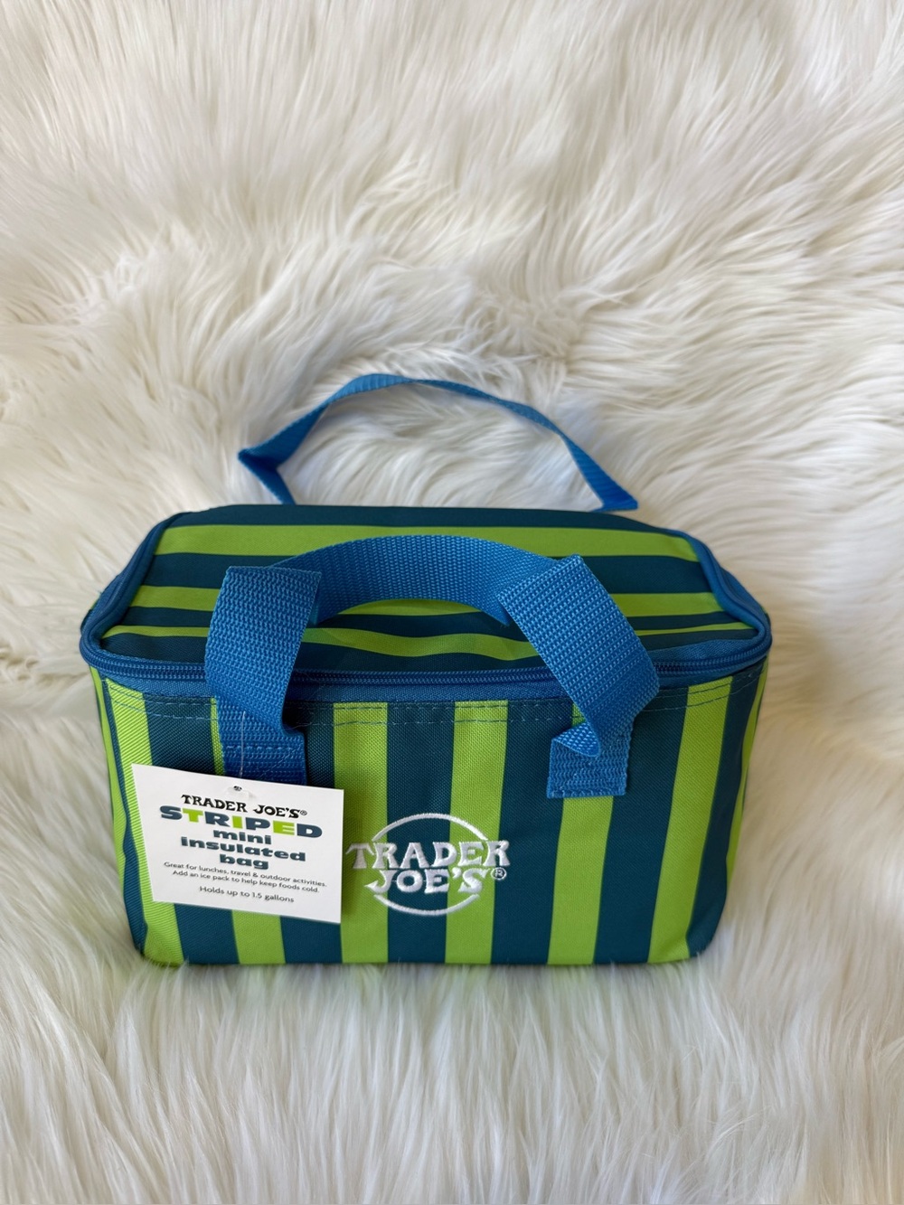 Trader Joe's Mini Insulated Lunch Bag New green and blue striped